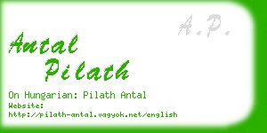 antal pilath business card